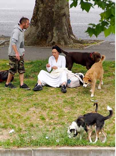 犬と男女